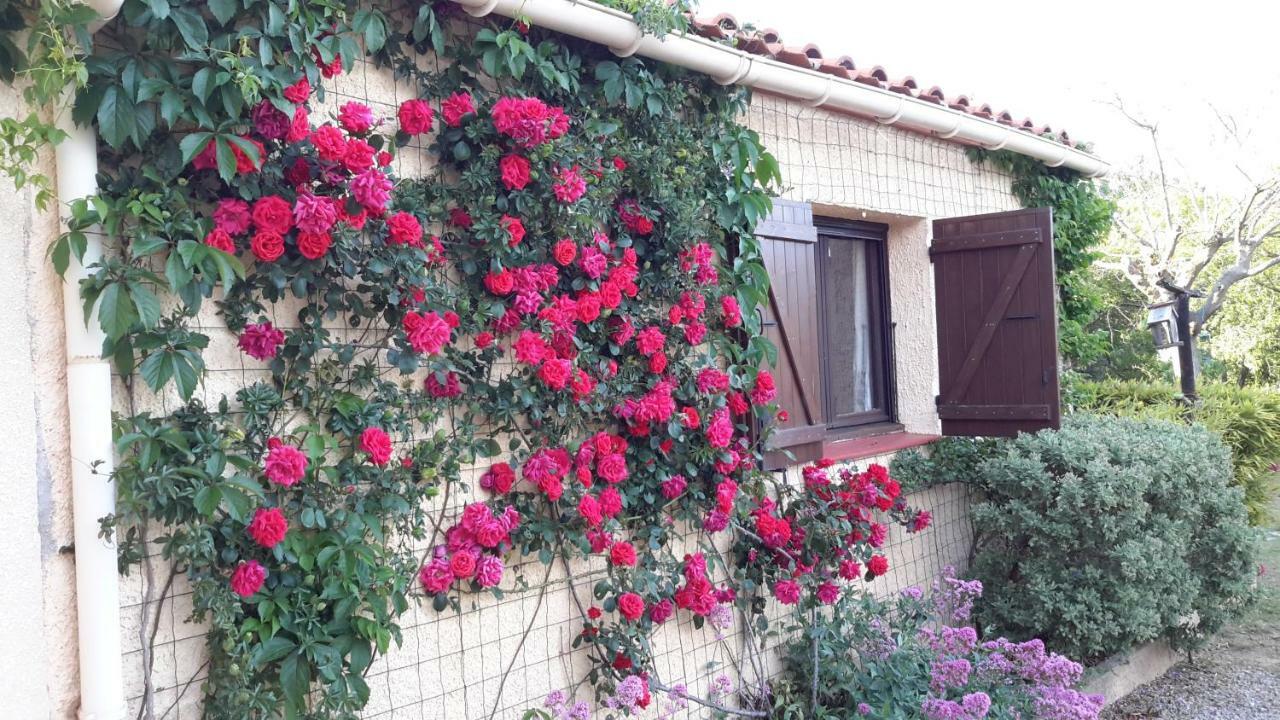 Bed and Breakfast La Pantoufle Verte à Montauriol  Extérieur photo