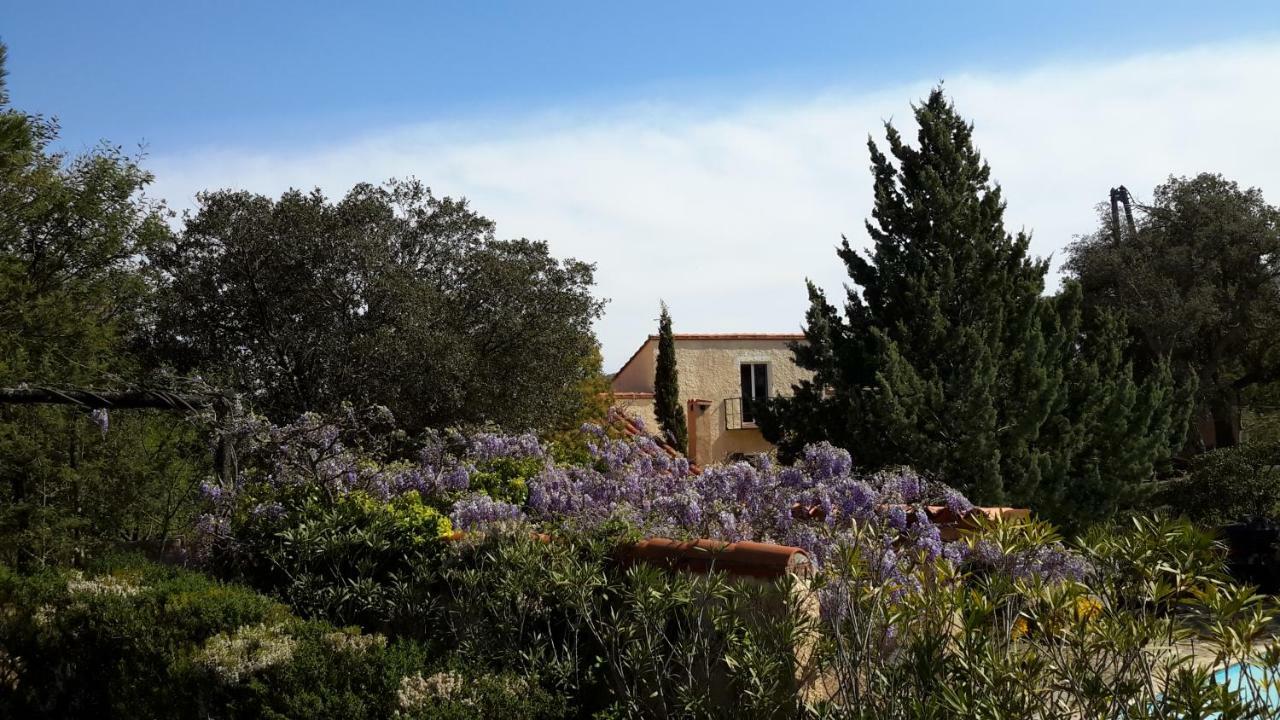 Bed and Breakfast La Pantoufle Verte à Montauriol  Extérieur photo